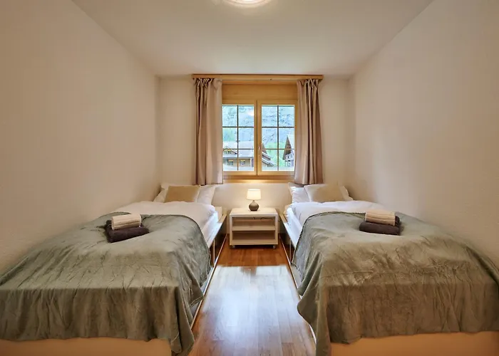 Great Location, Spacious, Views, Modern Lauterbrunnen