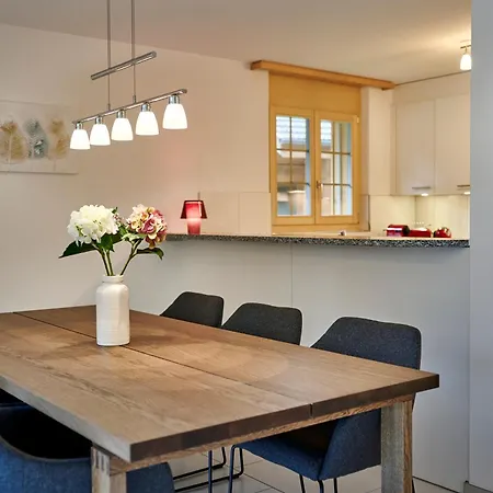 Διαμέρισμα Great Location, Spacious, Views, Modern Lauterbrunnen